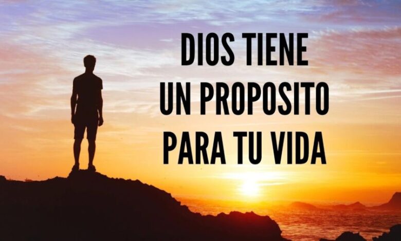 El ADN de tu Propósito: Descubriendo el Plan Divino para tu Vida en un Mundo de Incertidumbre