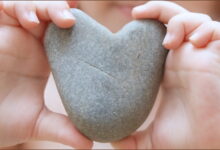 La Sensibilidad del Corazón
