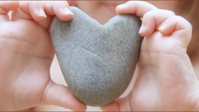 La Sensibilidad del Corazón
