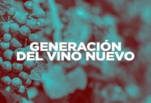 La generación del vino nuevo