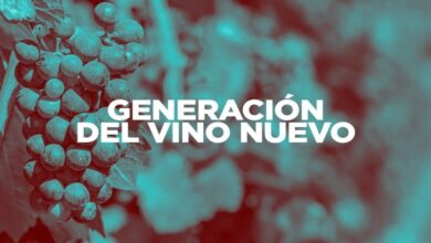 La generación del vino nuevo
