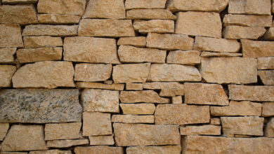 Piedras Vivas en la Construcción de Dios