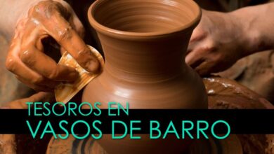 Los tipos de vasos