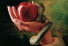 El Pecado: Su Origen, Efecto y Redención