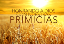 Significado espiritual de las primicias