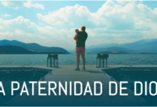 La Paternidad Divina: Refugio para mi vida