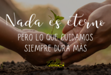 Lo transitorio de nuestra vida