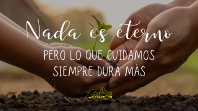Lo transitorio de nuestra vida