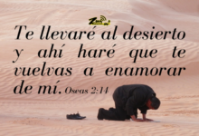 Dios nos guía aun en medio del desierto