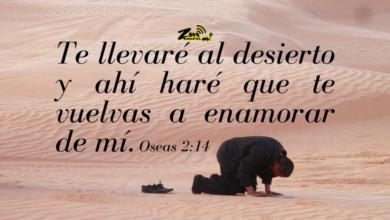 Dios nos guía aun en medio del desierto