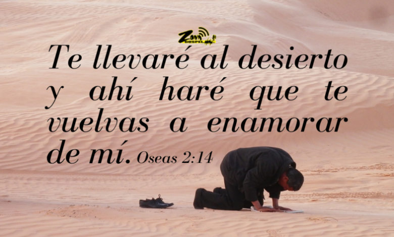 Dios nos guía aun en medio del desierto