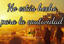 Saliendo del cautiverio