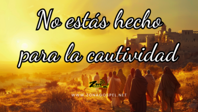 Saliendo del cautiverio
