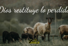Tiempos de restitución