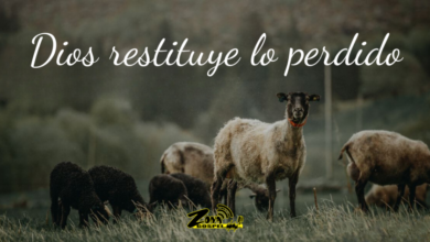 Tiempos de restitución