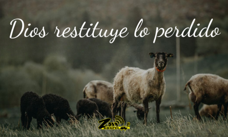 Tiempos de restitución